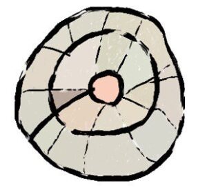 favicon-300x285